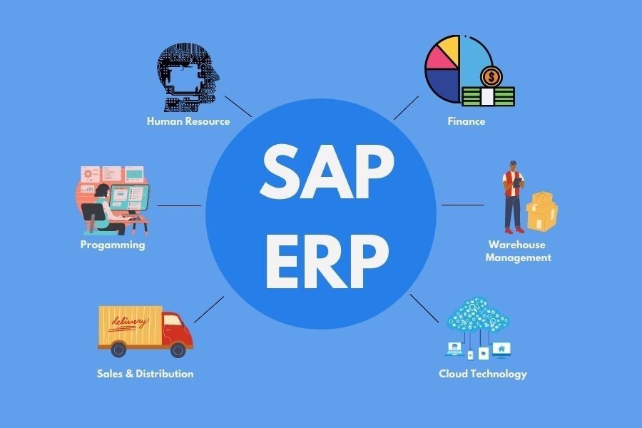 SAP Warehouse Management Basics: A Guide to Global Supply Chain Optimization