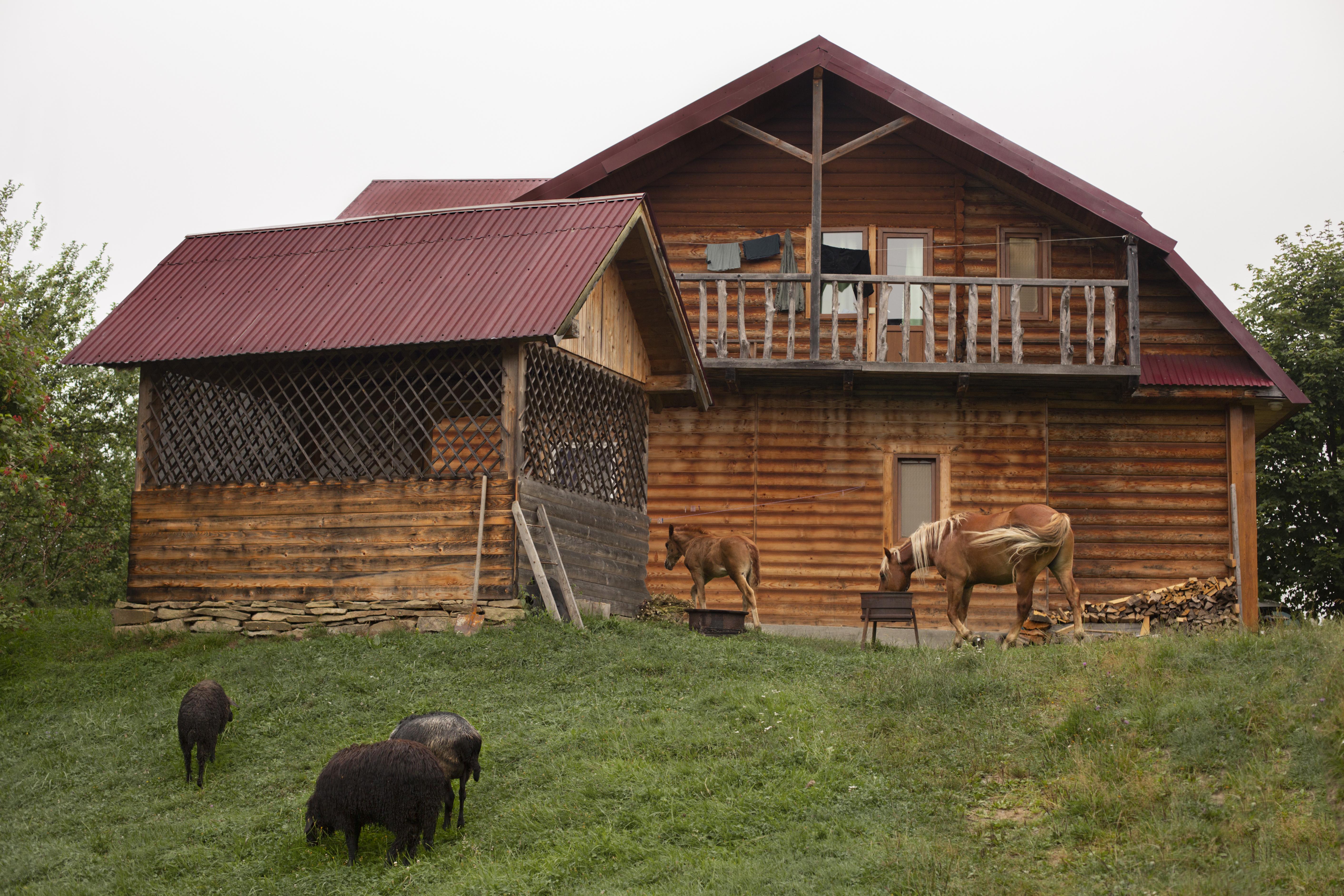 Insights into Dunster Log Cabins: Knowledge Guide with Details, Explanations, and Helpful Resources