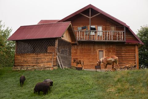 Insights into Dunster Log Cabins: Knowledge Guide with Details, Explanations, and Helpful Resources