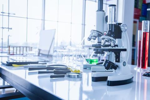 Lab Equipment Information: Understanding Common Equipment and Laboratory Applications