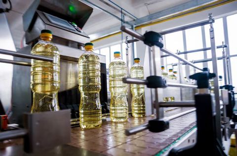 Palm Oil Production: An Overview of Farming, Processing, and Key Facts