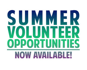 The Ultimate Guide to Meaningful Summer Volunteer Opportunities